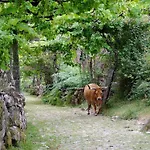 別荘 Caminho Geres - Heritage Eco-cottage - Jacuzzi Lindoso