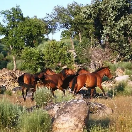 Caminho Geres - Heritage Eco-cottage - Jacuzzi بيت للعطل *