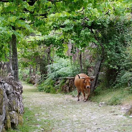 بيت للعطل Caminho Geres - Heritage Eco-cottage - Jacuzzi Lindoso