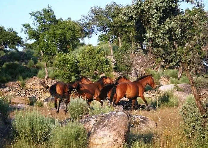Caminho Geres - Heritage Eco-cottage - Jacuzzi Σπίτι διακοπών *