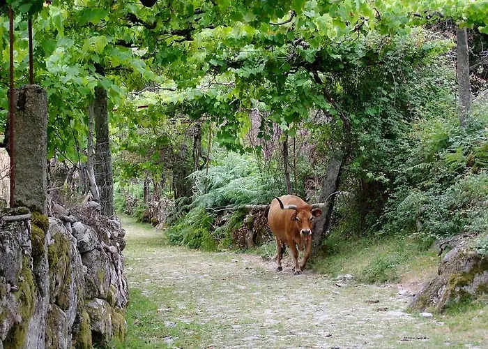 Σπίτι διακοπών Caminho Geres - Heritage Eco-cottage - Jacuzzi Lindoso